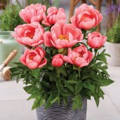 112 — kopiya — kopiya